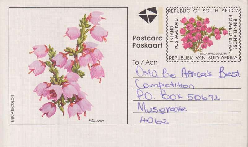 Post Cards / Maxi Card / Postal History / Pre paid Post Card Used