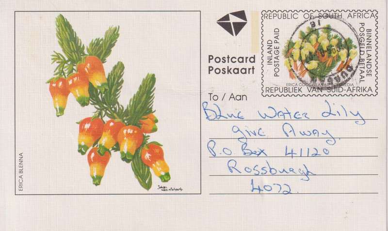 Post Cards / Maxi Card / Postal History / Pre paid Post Card Used