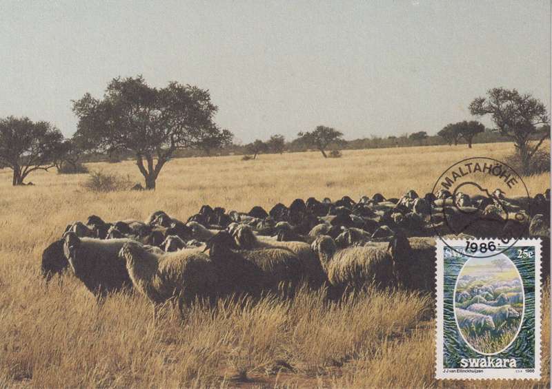 Post Cards / Maxi Card Not used