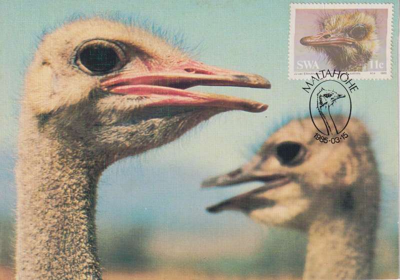 Post Cards / Maxi Card Not used