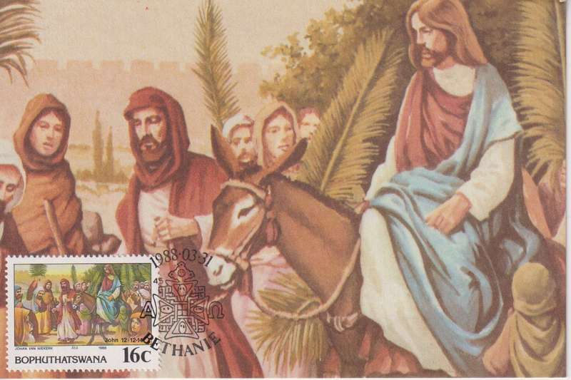 Post Cards / Maxi Card Not used
