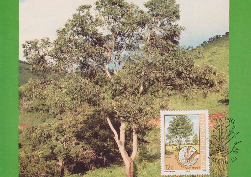 Post Cards / Maxi Card Not used