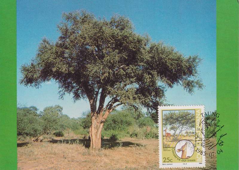 Post Cards / Maxi Card Not used