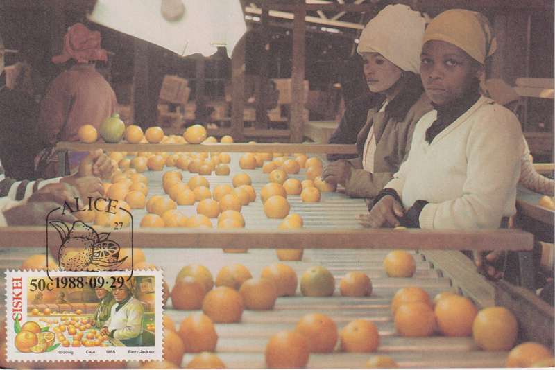 Post Cards / Maxi Card Not used