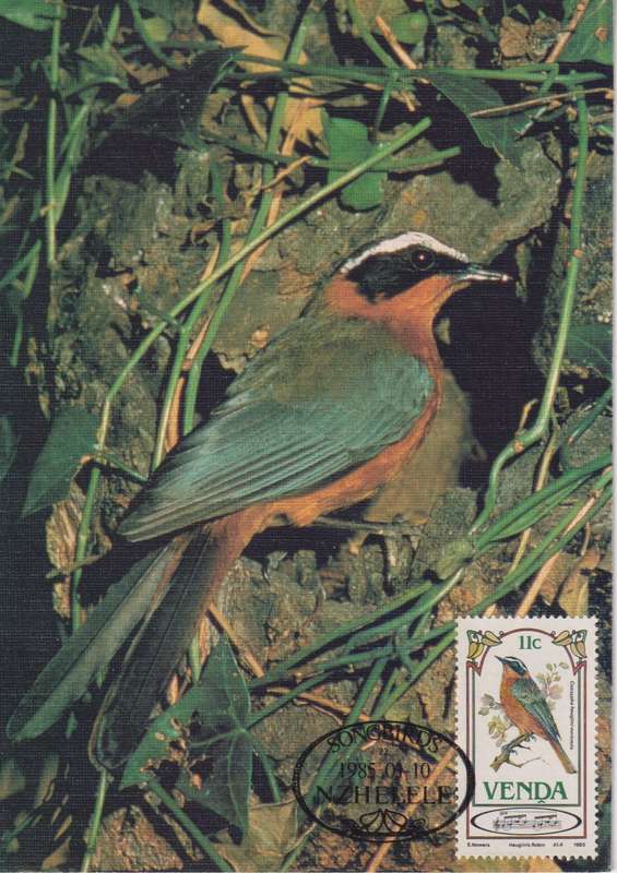 Post Cards / Maxi Card Not used