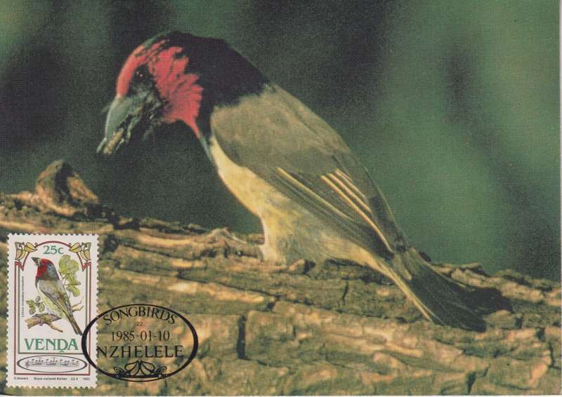 Post Cards / Maxi Card Not used