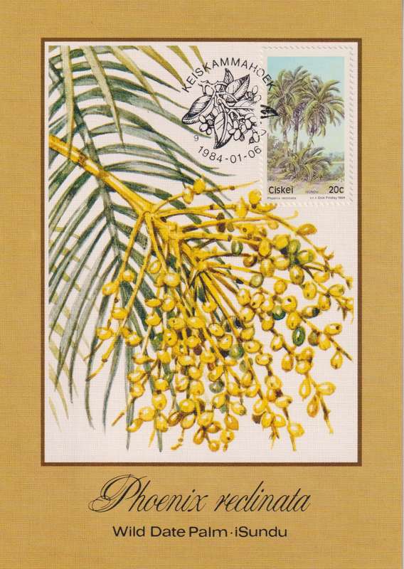 Post Cards / Maxi Card Not used