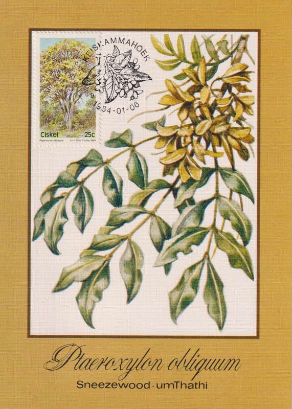 Post Cards / Maxi Card Not used