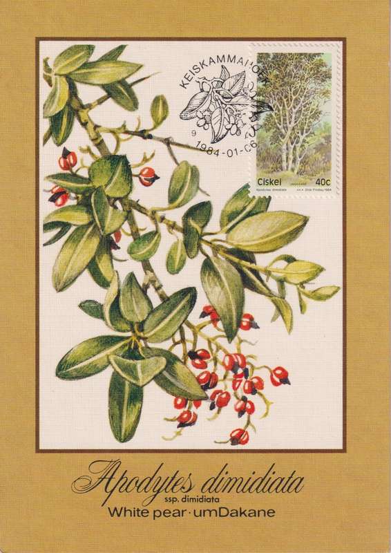 Post Cards / Maxi Card Not used