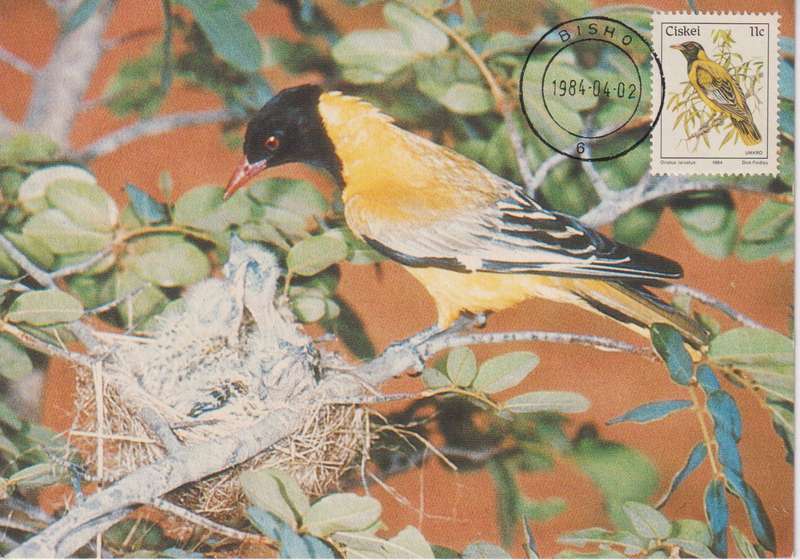 Post Cards / Maxi Card Not used