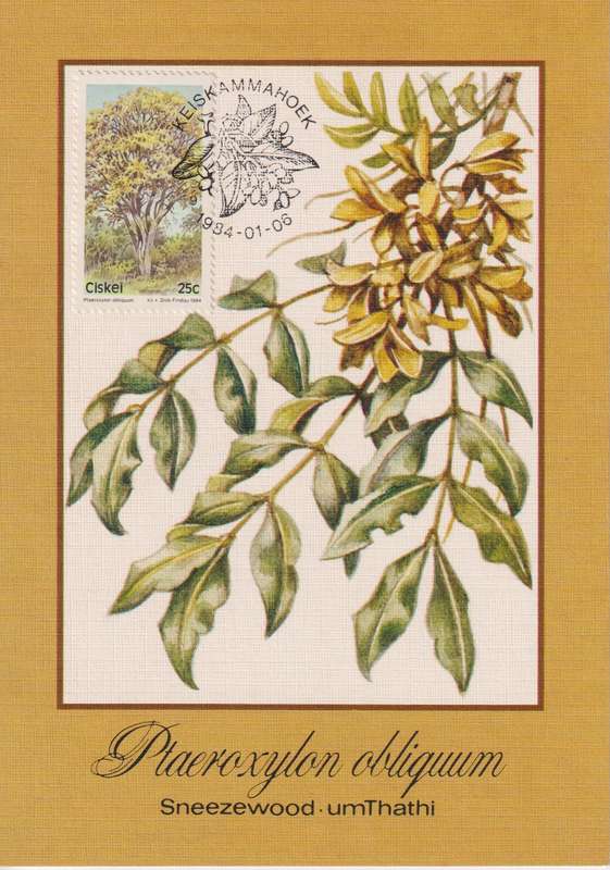 Post Cards / Maxi Card Not used