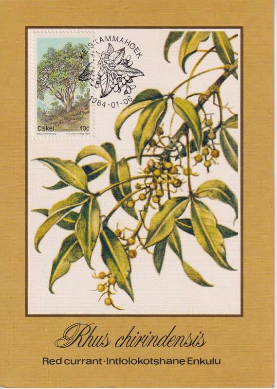 Post Cards / Maxi Card Not used