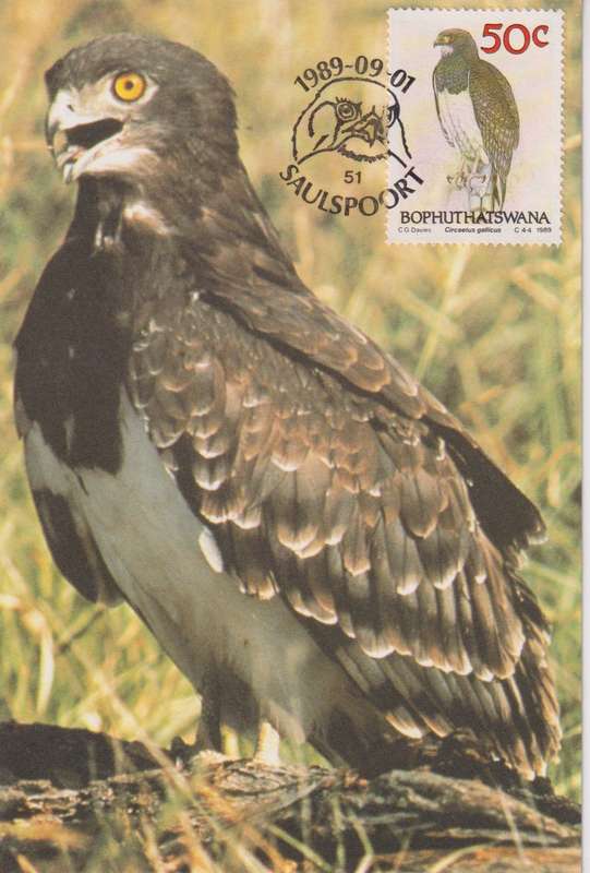 Post Cards / Maxi Card Not used