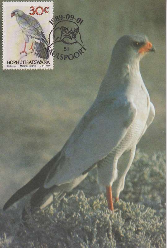 Post Cards / Maxi Card Not used