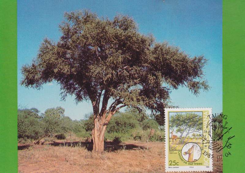 Post Cards / Maxi Card Not used