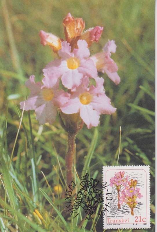 Post Cards / Maxi Card Not used