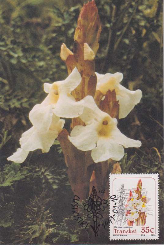 Post Cards / Maxi Card Not used