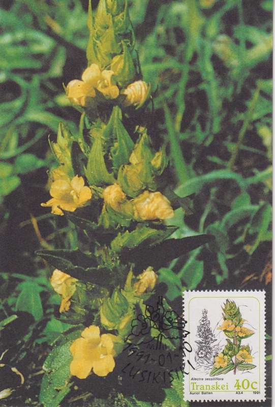 Post Cards / Maxi Card Not used