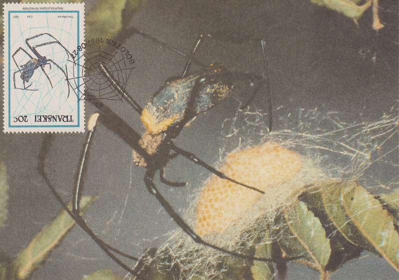Post Cards / Maxi Card Not used
