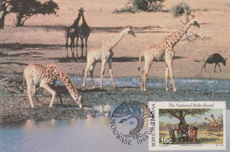 Post Cards / Maxi Card Not used