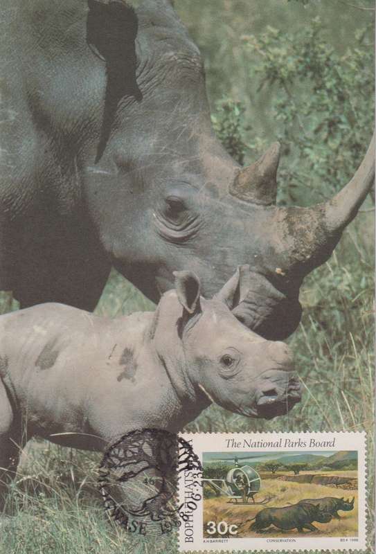 Post Cards / Maxi Card Not used
