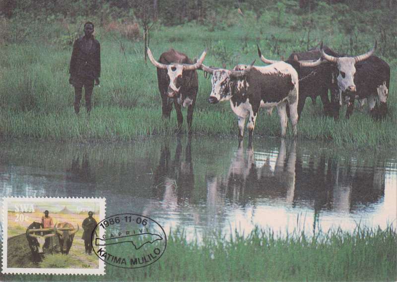 Post Cards / Maxi Card Not used