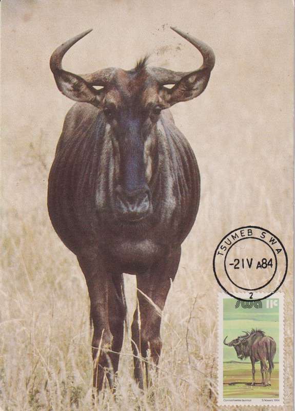 Post Cards / Maxi Card Not used