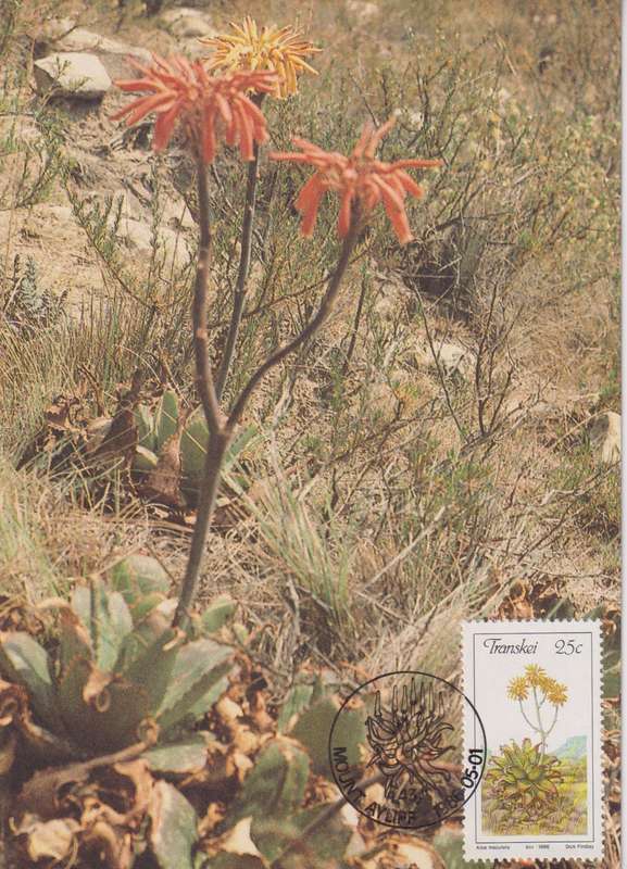 Post Cards / Maxi Card Not used