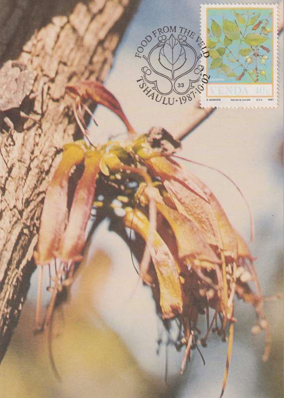 Post Cards / Maxi Card Not used
