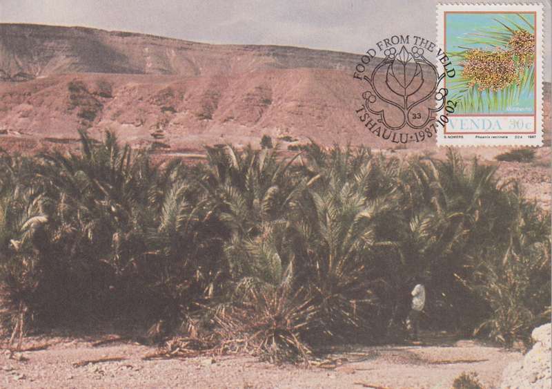 Post Cards / Maxi Card Not used