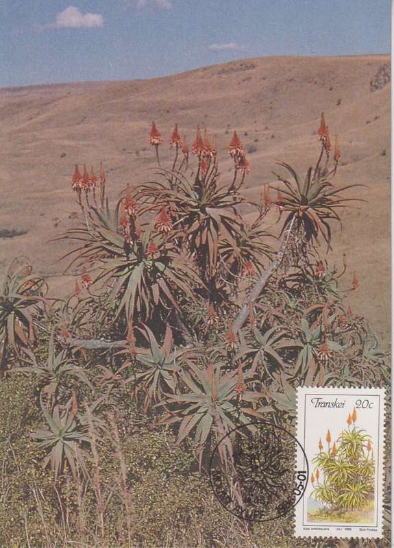 Post Cards / Maxi Card Not used