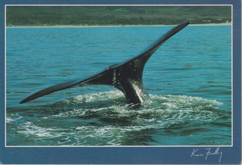 Post Cards