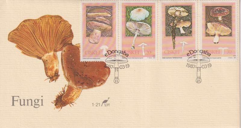 FDC Ciskei