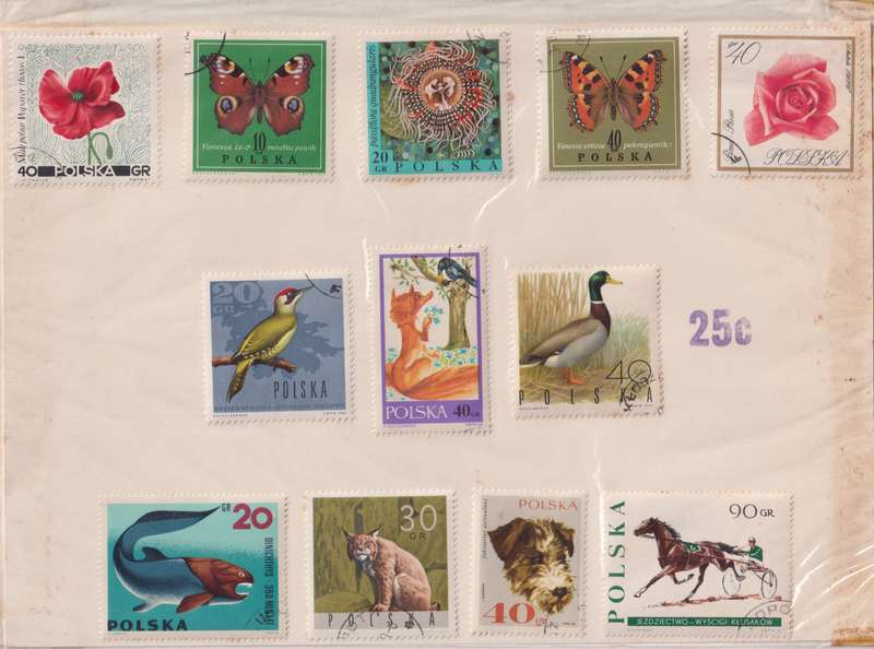 Stamps Polaska