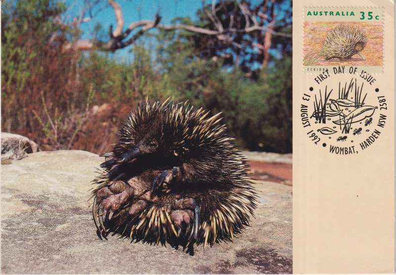 Post Card / Maxi Card Not used