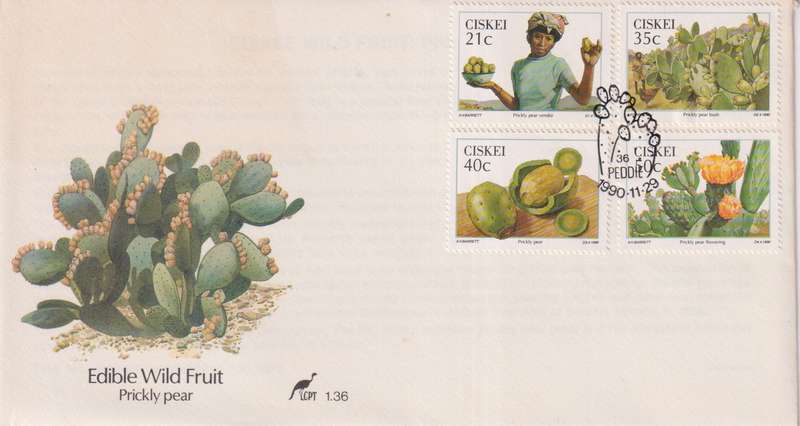 FDC Ciskei 1990 Prickly Pear