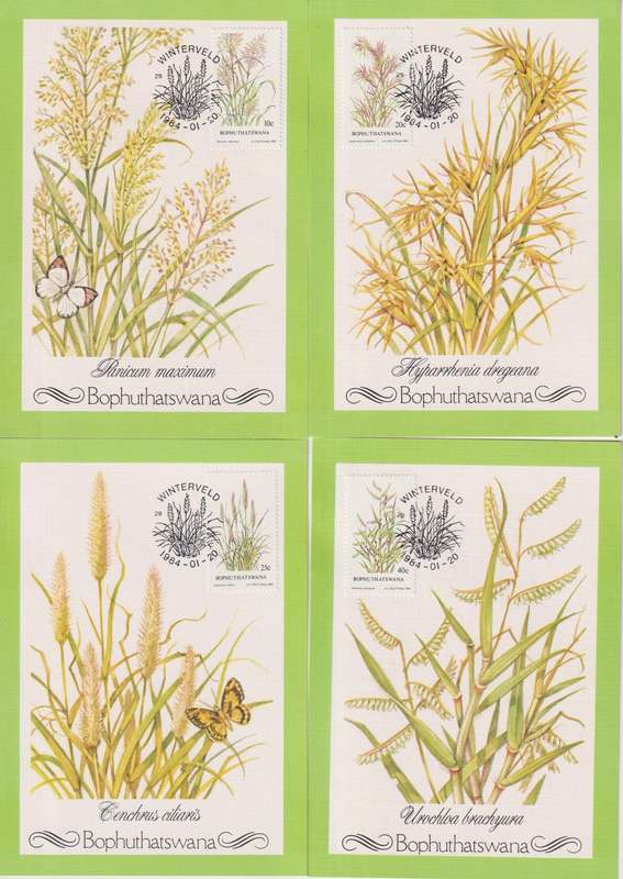 Maxi Card Set of 4 1984 Indigenous Grasses (Packs Of 10 Bid per pack to take all)