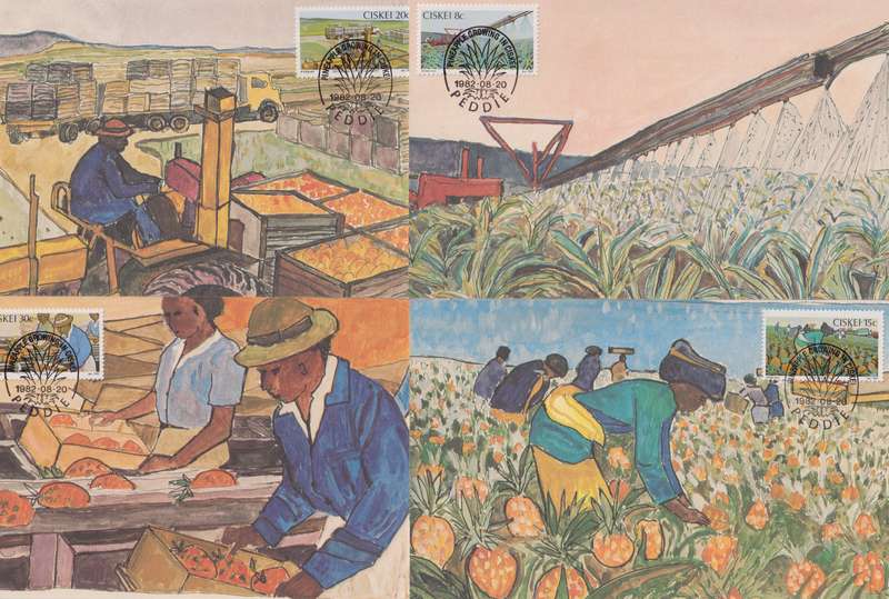 Maxi Card Set of 4 1982 Pineapple Industry