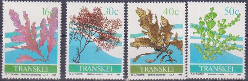 Stamps 1988 Seaweed
