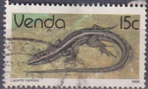 Stamp Thematic Reptiles