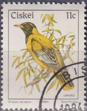 Stamp Thematic Birds