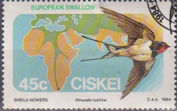 Stamp Thematic Birds