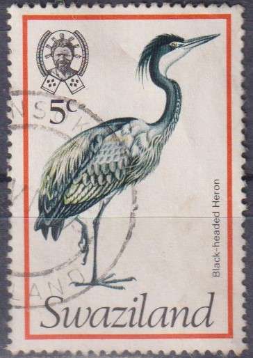Stamp Thematic Birds