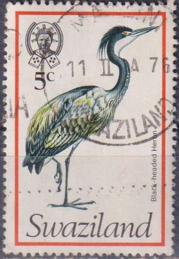 Stamp Thematic Birds