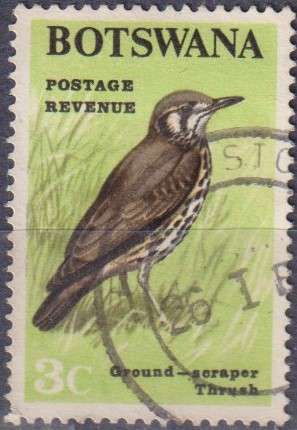 Stamp Thematic Birds