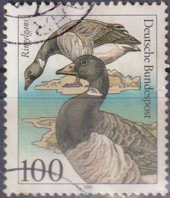Stamp Thematic Birds
