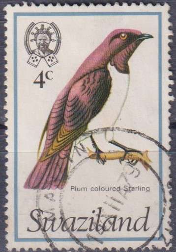 Stamp Thematic Birds
