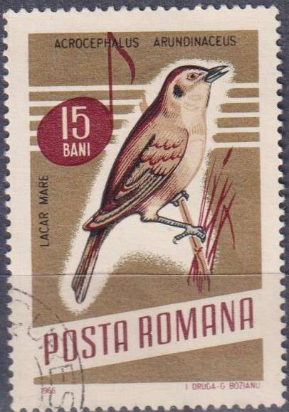 Stamp Thematic Birds