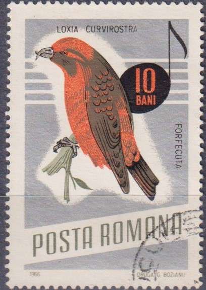 Stamp Thematic Birds