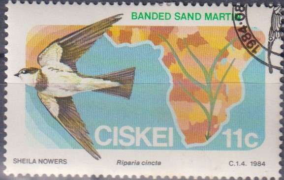 Stamp Thematic Birds